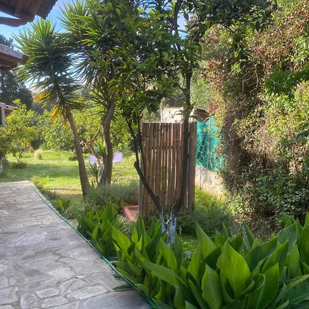 Casa Piccolino Villa Paramónasz Kültér fotó