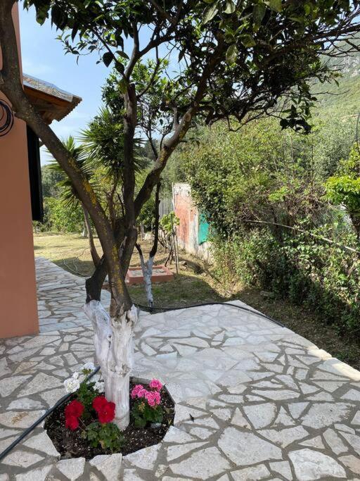 Casa Piccolino Villa Paramónasz Kültér fotó