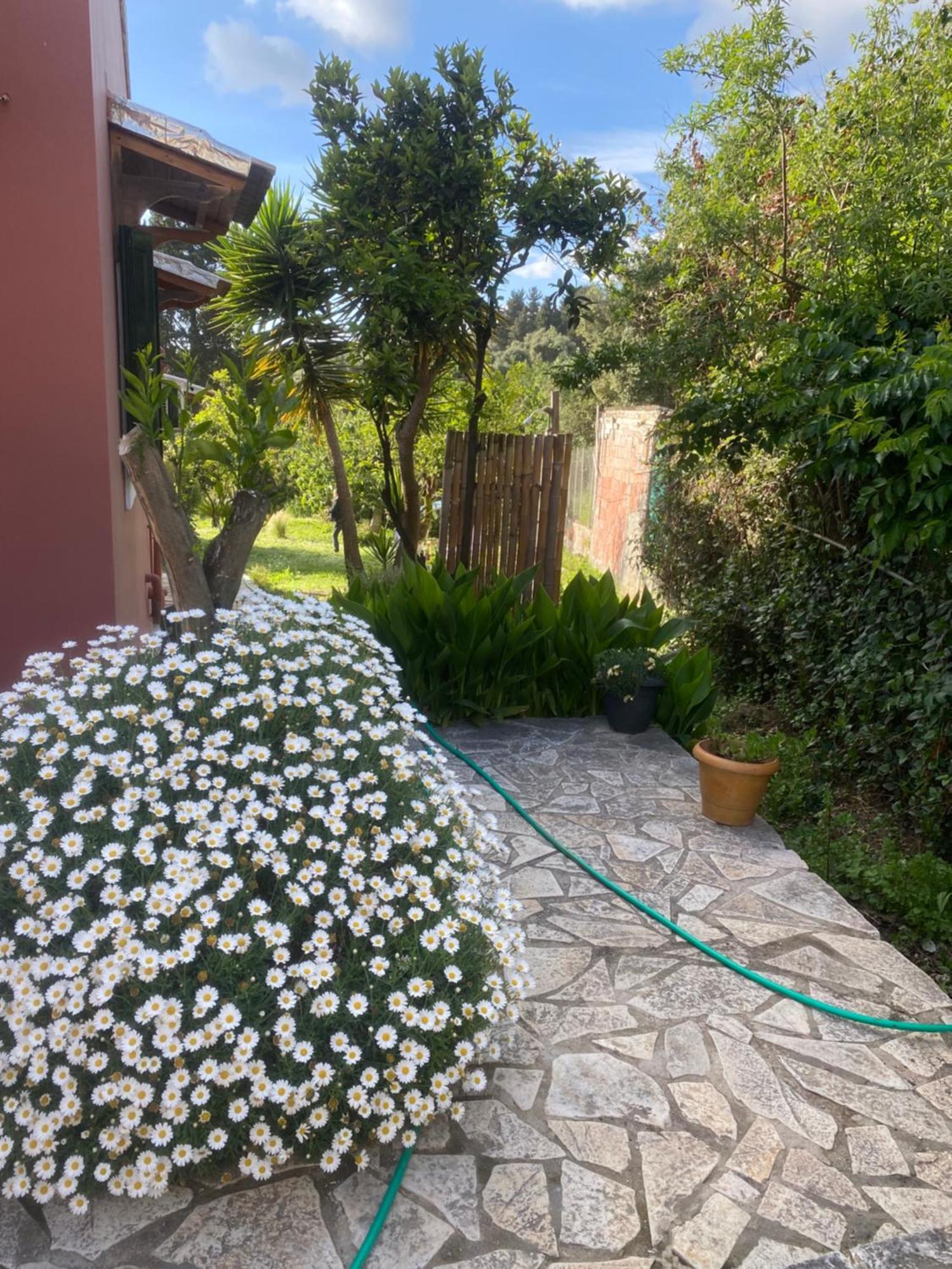 Casa Piccolino Villa Paramónasz Kültér fotó